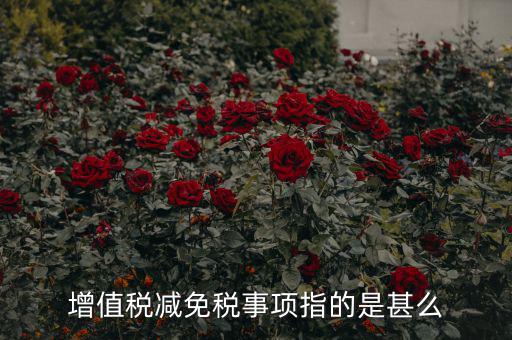 什么是減免稅申報，增值稅減免稅事項指的是甚么