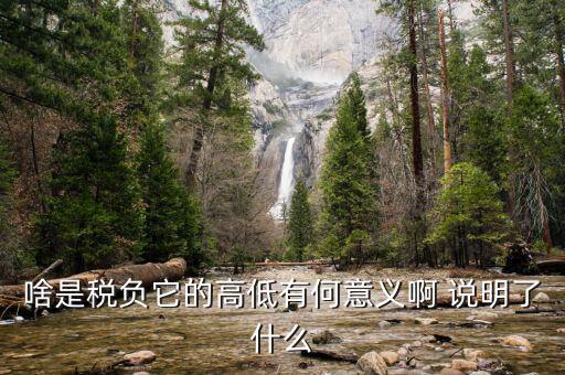 什么是稅負分析，增值稅稅負什么意思