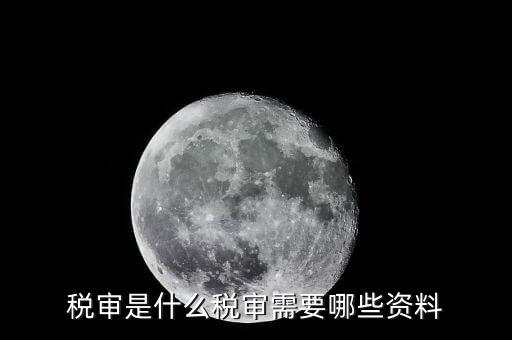 什么是大企業(yè)稅務(wù)審計，審計和稅務(wù)