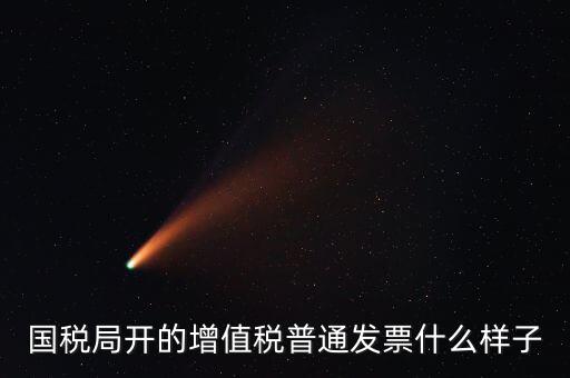 國(guó)稅局開的增值稅普通發(fā)票什么樣子