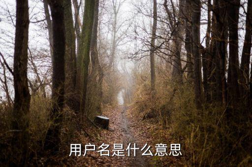 個稅用戶名是指什么意思，用戶名是什么意思