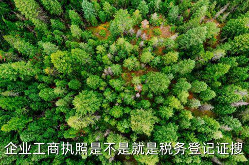 什么是工商稅務登記證，什么是稅務證