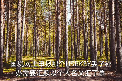 稅務(wù)ukey是什么意思，國稅網(wǎng)上申報那個USBKEY丟了補辦需要匯款以個人名義匯了拿