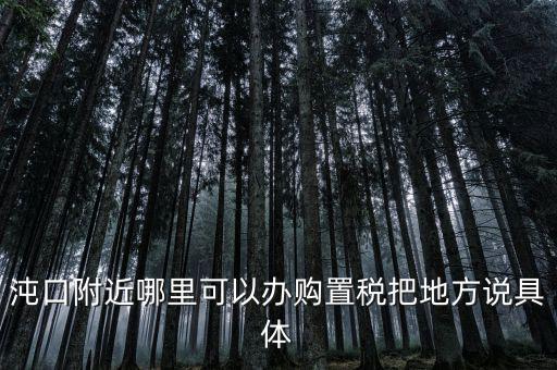 漢陽稅務局什么車，沌口附近哪里可以辦購置稅把地方說具體