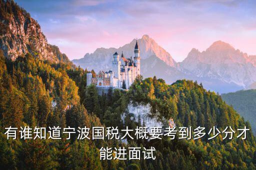 國(guó)稅 要求什么素質(zhì)，國(guó)稅公務(wù)員面試