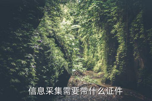 實(shí)名信息采集帶什么東西，去銀行辦理對(duì)公信息采集表需要帶哪些東西