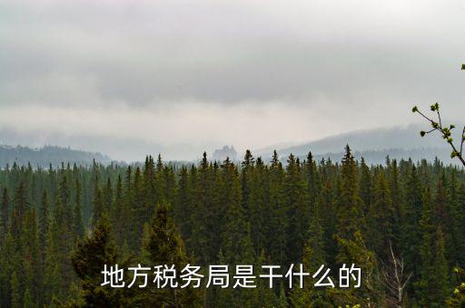 地稅局涉外稅收做什么，陜西發(fā)票涉外地稅是什么意思