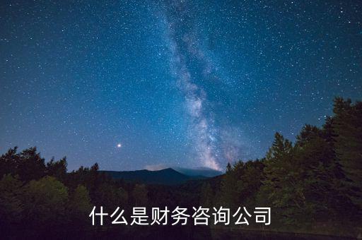 什么是財務(wù)咨詢公司