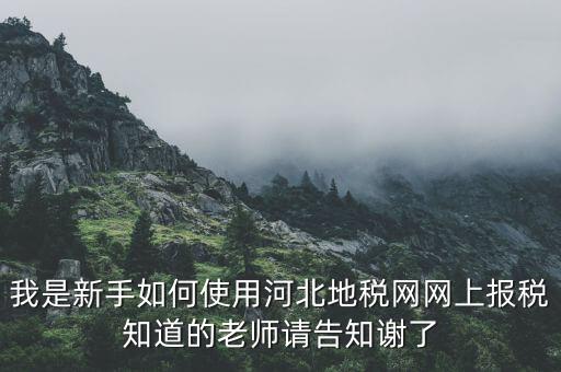 河北地稅申報(bào)用戶名是什么意思，用戶名是什么意思