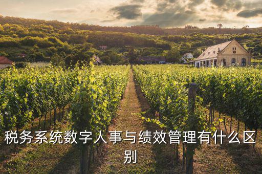 什么是稅務(wù)績效管理工作亮點，績效管理是什么