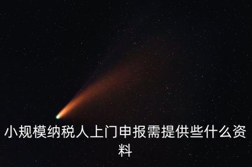 什么是上門申報(bào)，小規(guī)模納稅人上門申報(bào)需提供些什么資料