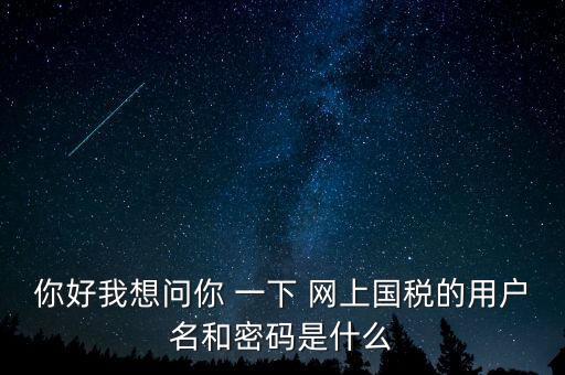你好我想問你 一下 網上國稅的用戶名和密碼是什么