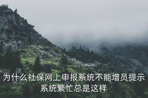 為什么社保申報后不通過，2015年9月21號網(wǎng)上申報社保進不去怎么回事