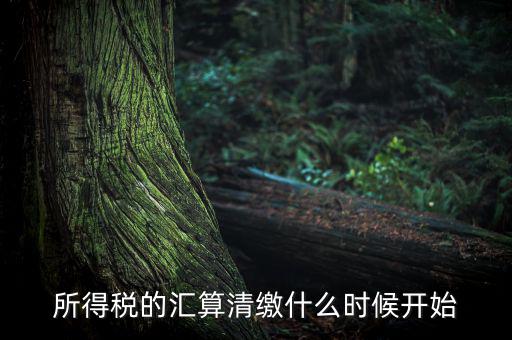 所得稅的匯算清繳什么時(shí)候開(kāi)始