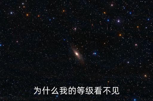 為什么無(wú)法查詢(xún)到納稅等級(jí)，為什么我的等級(jí)看不見(jiàn)