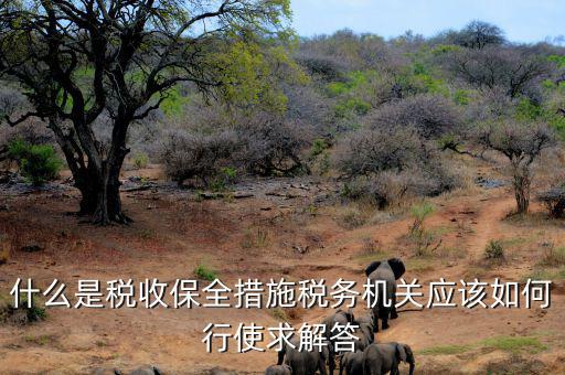 稅務局四個確保是什么，如何加強稅務稽查工作的幾點思考