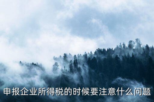 年度企業(yè)所得稅申報注意什么，申報企業(yè)所得稅的時候要注意什么問題