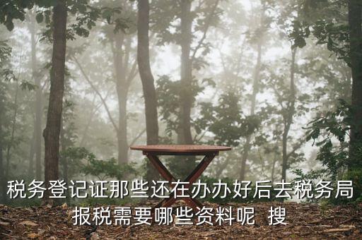 新辦企業(yè)稅務(wù)局需要什么資料，稅務(wù)登記證那些還在辦辦好后去稅務(wù)局報(bào)稅需要哪些資料呢  搜