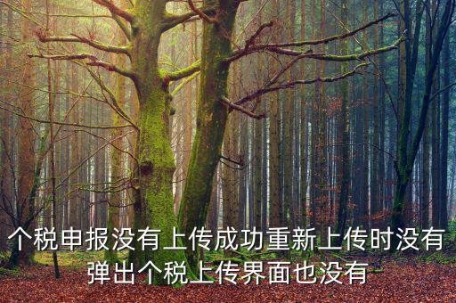 個(gè)稅申報(bào)沒有上傳成功重新上傳時(shí)沒有彈出個(gè)稅上傳界面也沒有