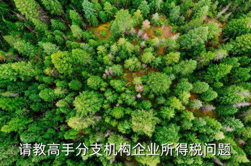 企業(yè)所得稅分管單位是什么意思，企業(yè)所得稅主管稅務(wù)局指的是什么