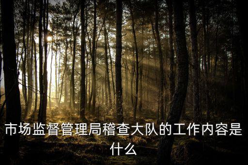 市場監(jiān)督管理局稽查大隊的工作內容是什么