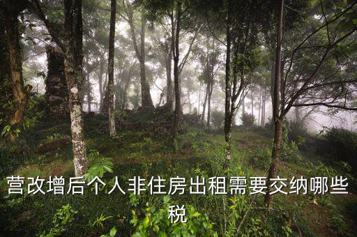 個人出租非房屋交什么稅，您好個人出租非住房繳納房產(chǎn)稅按照2019新政策是不是租賃收入