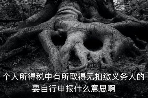 什么叫自行申報，個人所得稅中有所取得無扣繳義務(wù)人的要自行申報什么意思啊