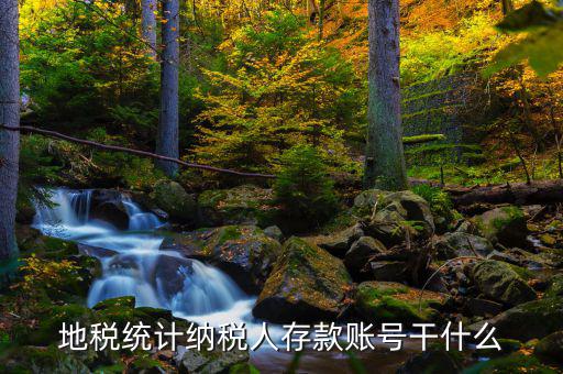 地稅統(tǒng)計(jì)納稅人存款賬號干什么