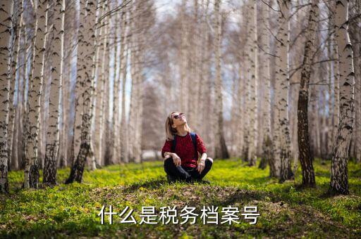 稅收檔案編號是什么，國稅檔案編號是什么