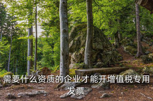 什么公司可以開增值稅專用發(fā)票，什么樣的企業(yè)才能開增值稅專用發(fā)票