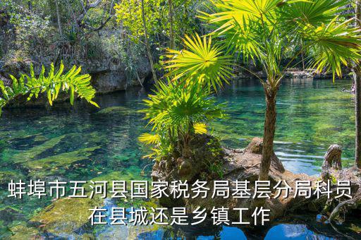 懷遠稅務局在什么地方，蚌埠市五河縣國家稅務局基層分局科員在縣城還是鄉(xiāng)鎮(zhèn)工作