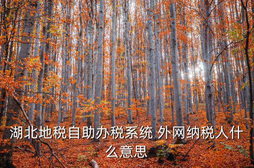 湖北地稅自助辦稅系統(tǒng) 外網納稅人什么意思