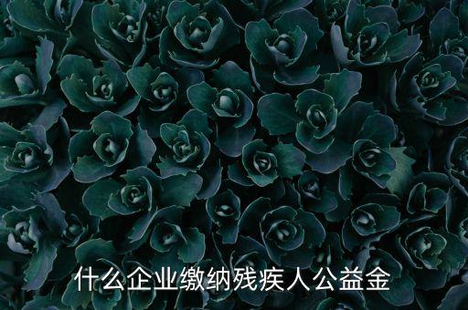 什么企業(yè)需申報殘疾人保障金，哪些單位應(yīng)該繳納殘疾人保障基金