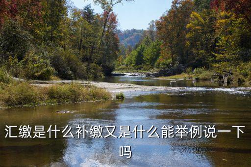 匯繳是什么補(bǔ)繳又是什么能舉例說(shuō)一下嗎