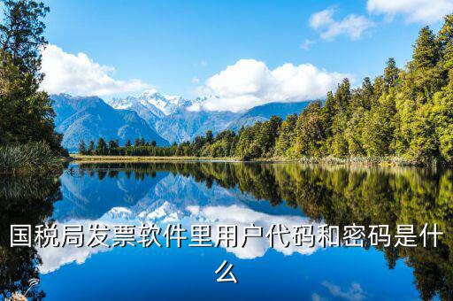 國稅用戶密碼是什么，你好我想問你 一下 網(wǎng)上國稅的用戶名和密碼是什么
