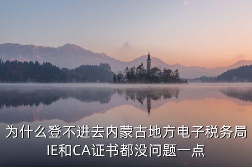 為什么電子稅務(wù)局登錄不了，山西省電子稅務(wù)局在電腦上登陸不上為啥呢