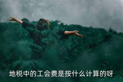 地稅代征的工會(huì)經(jīng)費(fèi)按什么計(jì)算，地稅中的工會(huì)費(fèi)是按什么計(jì)算的呀