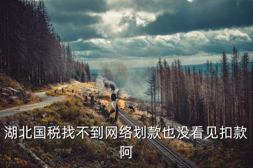湖北省國稅局四個確保是什么，湖北國稅找不到網(wǎng)絡劃款也沒看見扣款阿