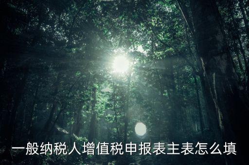 一般納稅人主表是什么，一般納稅人增值稅申報(bào)表主表怎么填