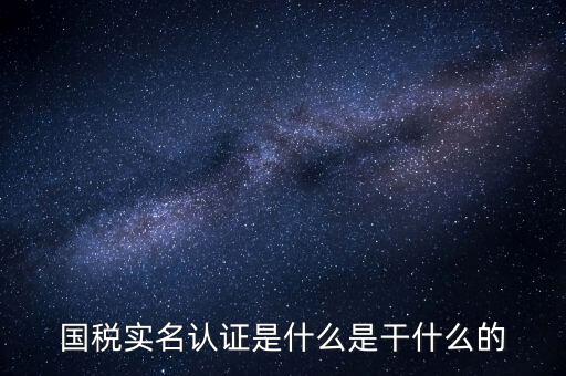 國稅實名認(rèn)證是什么是干什么的