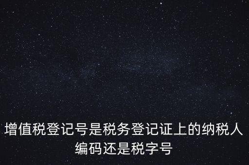 一般納稅人登記編號是什么，納稅人編號是什么