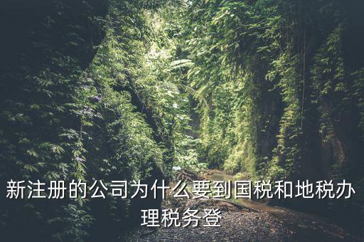 新注冊的公司為什么要到國稅和地稅辦理稅務登