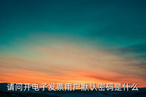 重慶國稅電子發(fā)票登錄密碼是什么意思，國稅局發(fā)票軟件里用戶代碼和密碼是什么