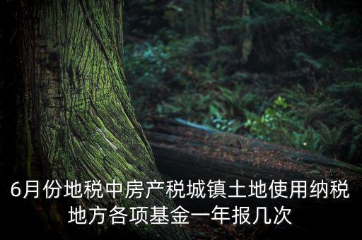 6月份地稅中房產(chǎn)稅城鎮(zhèn)土地使用納稅地方各項(xiàng)基金一年報幾次