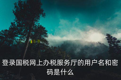 稅務(wù)查詢賬號(hào)密碼是什么意思，登錄國稅網(wǎng)上辦稅服務(wù)廳的用戶名和密碼是什么