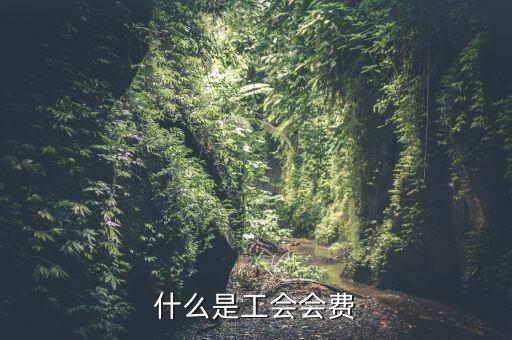 什么企業(yè)交工會經(jīng)費(fèi)，繳工會經(jīng)費(fèi)的依據(jù)是什么