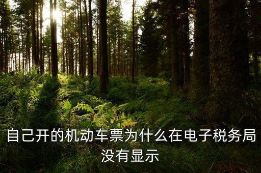 為什么登錄電子稅務(wù)局沒有反映，自己開的機(jī)動車票為什么在電子稅務(wù)局沒有顯示