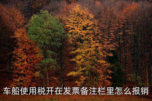 車(chē)船使用稅為什么在發(fā)票備注欄，保險(xiǎn)公司代收的車(chē)船稅稅款是填在備注欄里的么