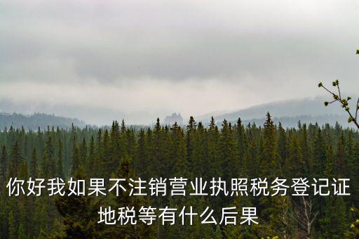 你好我如果不注銷營(yíng)業(yè)執(zhí)照稅務(wù)登記證地稅等有什么后果