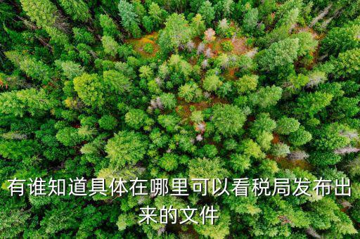 在什么網(wǎng)站上可以查詢財稅文件，有誰知道具體在哪里可以看稅局發(fā)布出來的文件